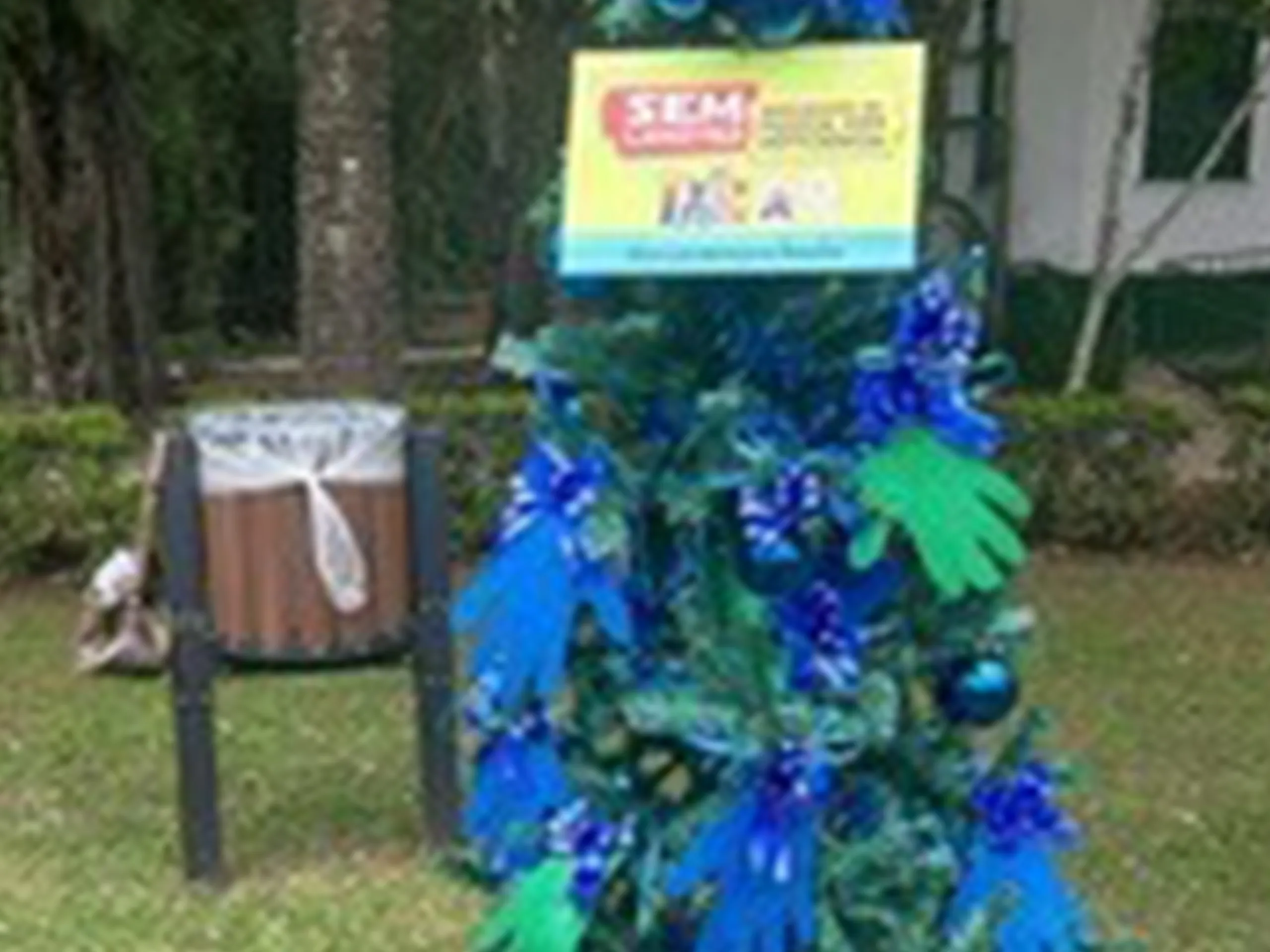 ASL no Natal Floresta Iluminada.